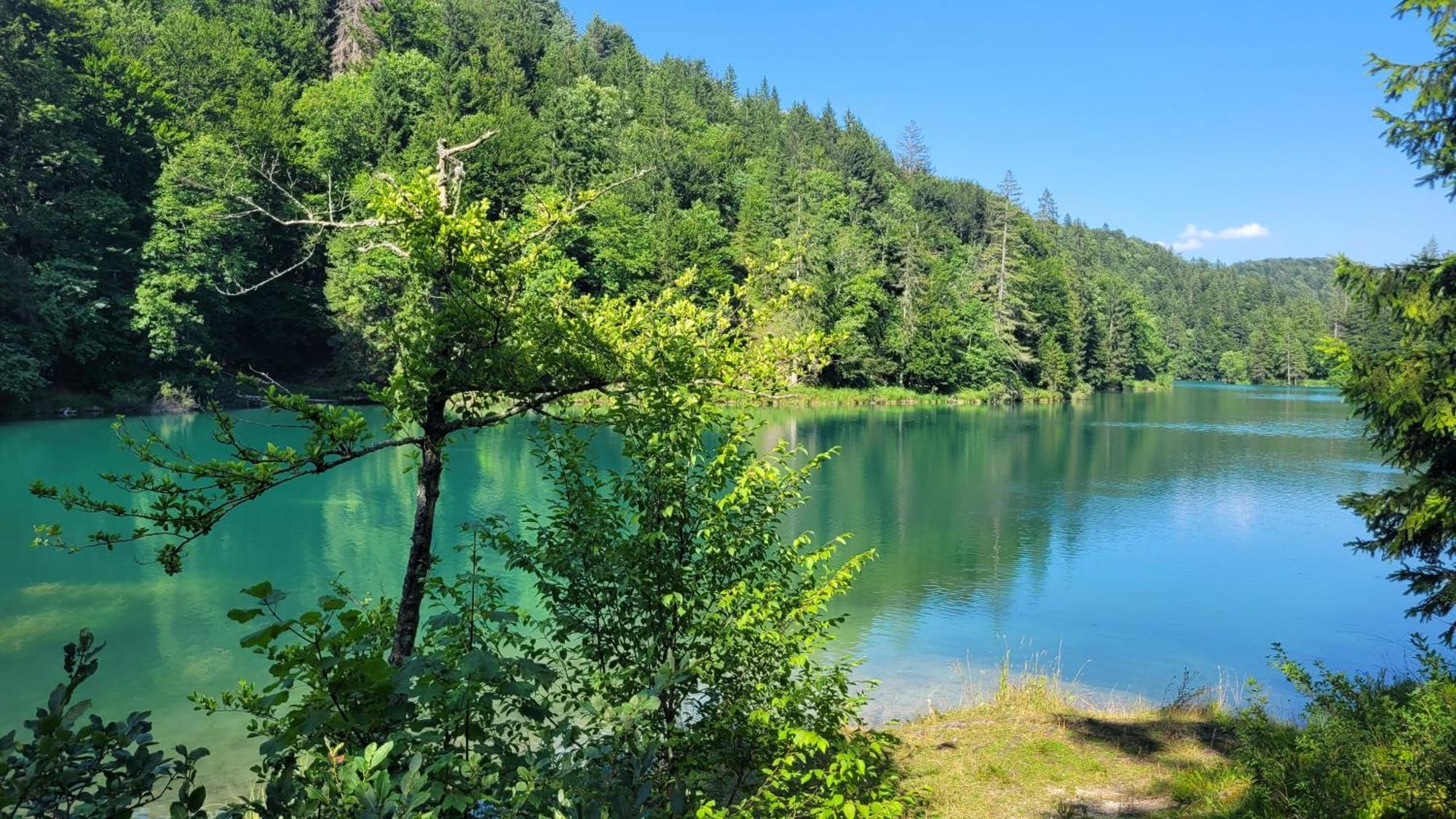 B&B Plitvica Villa Prica Plitvička Jezera Eksteriør bilde